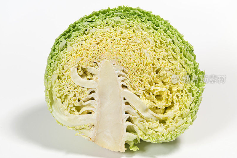 甘蓝(Brassica oleracea)图片大小XXXLarge